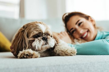 Cute dog lying down on sofa and relaxing with is owner at home. 