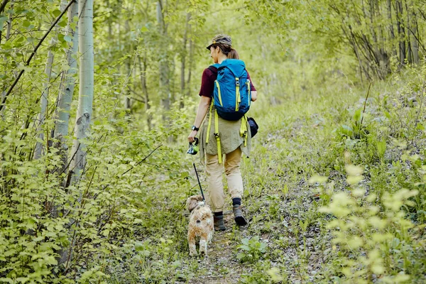 Вид Ззаду Пішохода Собаку Йде Через Ліс — стокове фото