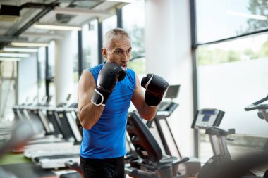 Mature sportsman exercising boxing during sports training in a gym.