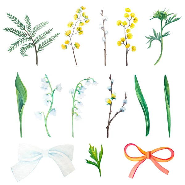 Conjunto de plantas de primavera acuarela ilustraciones elemento sobre un fondo blanco — Foto de Stock