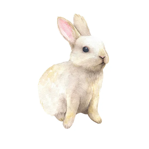 Милый акварельный кролик на изолированном белом фоне — стоковое фото