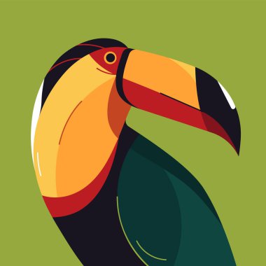 Toucan portrait colorful vector illustration, poster, print.