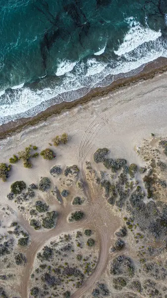 Playa del sur Argentino, Patagonya Arjantin 