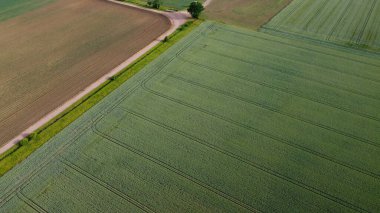 Yenilenebilir Güneş Paneli ve İngiltere 'deki Yel Değirmeni Rüzgar Türbini Çiftlikleri, İHA' nın Yüksek Açı Hava Görüntüsü
