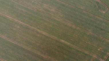 İngiltere 'nin Kırsal Bölgesi' nde Yenilenebilir Güneş Paneli Enerjisi ve Yel Değirmeni Rüzgar Türbini Çiftlikleri, İHA 'nın Yüksek Açı Hava Görüntüsü