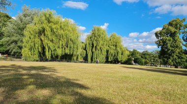 Parkın güzel manzarası