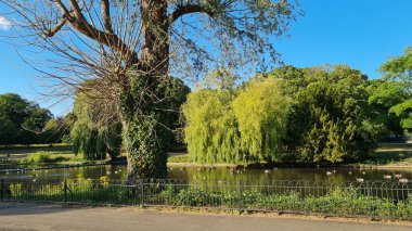 Luton İngiltere 'deki yerel parkın muhteşem manzarası.