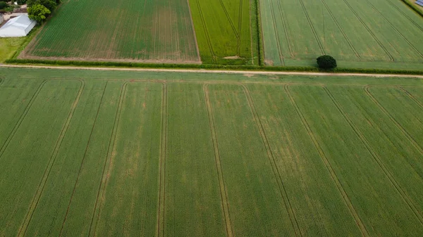 Renewable Energy Solar Panel Power Windmill Wind Turbine Farms Countryside — Fotografia de Stock