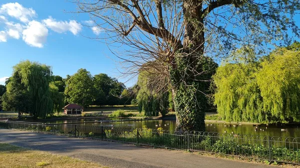 Gorgeous View Local Public Park Luton England — Stock Fotó