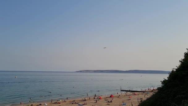 Beautiful View Beach Full People Birds Top Hill Bournemouth City — Stockvideo