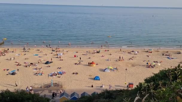 Beautiful View Beach Full People Birds Top Hill Bournemouth City — Stockvideo