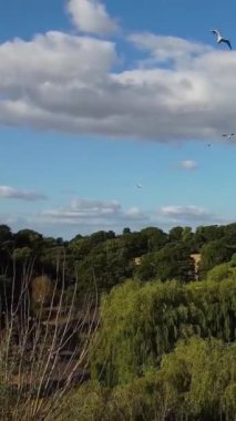 Hava görüntüleri yüksek açılı Drone 'un şehir manzarası ve İngiltere' nin manzarası Büyük Britanya İHA 'sının görüntüleri