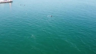Okyanustaki Hızlı, Yarış ve Spor Tekneleri 'nin hava görüntüsü, İngiltere' nin Bournemouth Sahili 'nin Yüksek Açılı görüntüleri.