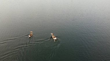 Güzel Gündoğumu ve Renkli Bulutlar, Hava Görüntüsü ve İHA 'nın İngiltere' de çektiği yüksek açı görüntüsü