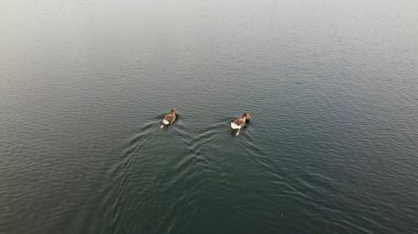 Güzel Gündoğumu ve Renkli Bulutlar, Hava Görüntüsü ve İHA 'nın İngiltere' de çektiği yüksek açı görüntüsü