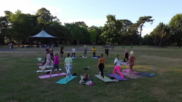 Group Women Exercising Yoga Together Public Park Sunset Hot Summer — стокове відео