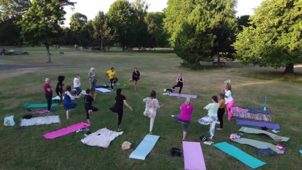 Group Women Exercising Yoga Together Public Park Sunset Hot Summer — Αρχείο Βίντεο