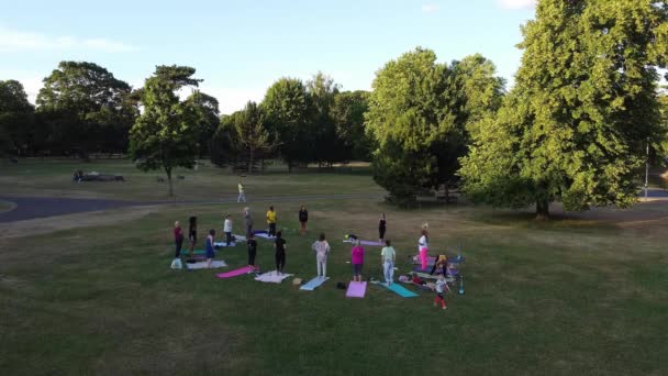 Group Women Exercising Yoga Together Public Park Sunset Hot Summer — Stok video