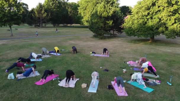 Group Women Exercising Yoga Together Public Park Sunset Hot Summer — Vídeo de stock