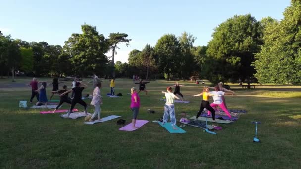 Női Gyakorló Jóga Csoport Együtt Nyilvános Parkban Sunset Hot Summer — Stock videók