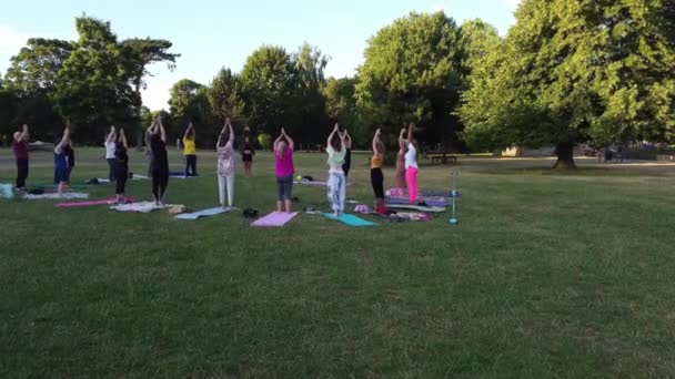 Group Women Exercising Yoga Together Public Park Sunset Hot Summer — стокове відео