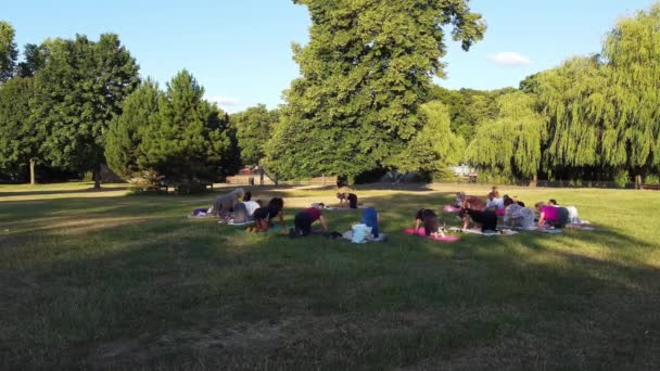 Group Women Exercising Yoga Together Public Park Sunset Hot Summer — стокове відео