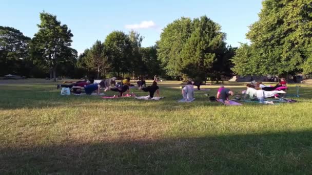 Group Women Exercising Yoga Together Public Park Sunset Hot Summer — Stockvideo