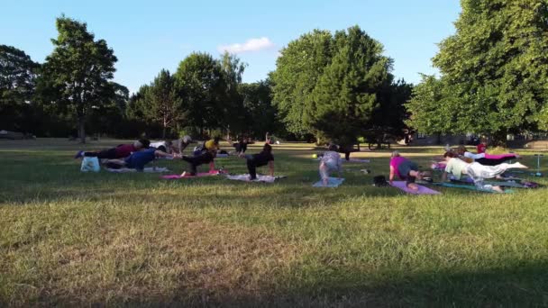 Group Women Exercising Yoga Together Public Park Sunset Hot Summer — Wideo stockowe