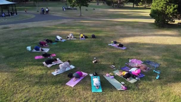 Group Women Exercising Yoga Together Public Park Sunset Hot Summer — Video Stock
