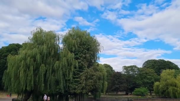 Young Asian Males Walking Infant Baby Boy Local Public Park — Vídeo de Stock