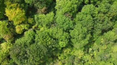 İngiliz Kırsal Bölgesi 'nin hava görüntüleri ve yüksek açılı görüntüsü, insansız hava aracı görüntüleri.