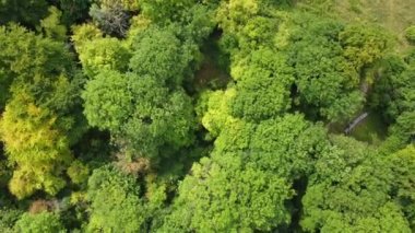 Aerial footage and high angle view of British Countryside, drone's footage