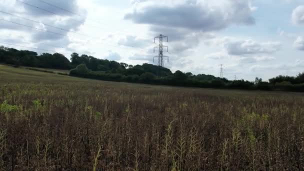 High Voltage Power Supply Poles Cables Running British Farmlands Countryside — Stockvideo