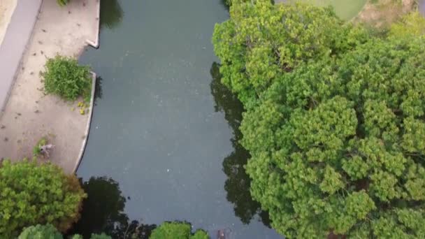 High Angle Aerial Footage Lake Children Playground Local Free Access — Vídeo de stock