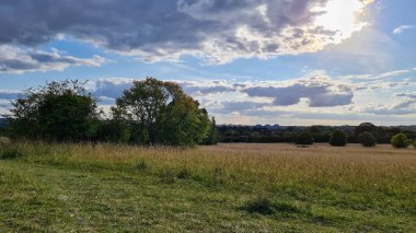 İngiliz tarım arazileri ve kırsal bölgeler,