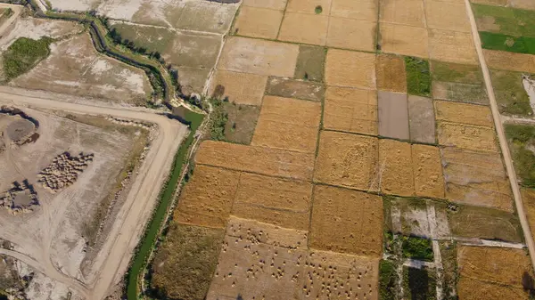 Aerial View Kala Shah Kaku Village Punjab Pakistan Drone High — Fotografia de Stock