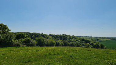 Low Angle Footage of British Agricultural Farms and Countryside,