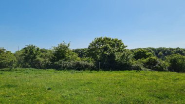İngiliz Tarım Çiftlikleri ve Kırsal Bölgesi Düşük Açı Görüntüsü,