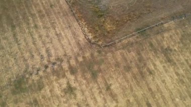 Aerial View of Barnfield College. It is the largest further education college in Bedfordshire, England, with two campuses in Luton. The New Building and Renovations are currently in progress.