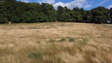 İngiltere 'nin Luton kasabasındaki yerel halk parkının yüksek açılı görüntüleri.