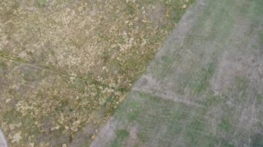 İngiltere 'nin Luton kasabasındaki yerel halk parkının yüksek açılı görüntüleri.