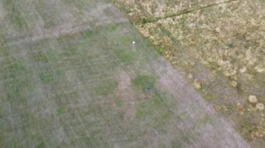 İngiltere 'nin Luton kasabasındaki yerel halk parkının yüksek açılı görüntüleri.