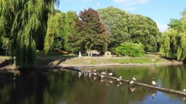 Water Birds are Swimming in the Lake Water of Local Public Park of Luton England Great Britain on a hot Day of Summer 2022, Drone's Camera Footage.