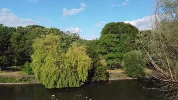 Water Birds Swimming Lake Water Local Public Park Luton England — Vídeo de stock