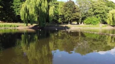 Water Birds are Swimming in the Lake Water of Local Public Park of Luton England Great Britain on a hot Day of Summer 2022, Drone's Camera Footage.