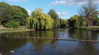 Water Birds are Swimming in the Lake Water of Local Public Park of Luton England Great Britain on a hot Day of Summer 2022, Drone's Camera Footage.