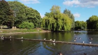 Water Birds are Swimming in the Lake Water of Local Public Park of Luton England Great Britain on a hot Day of Summer 2022, Drone's Camera Footage.