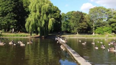 Water Birds are Swimming in the Lake Water of Local Public Park of Luton England Great Britain on a hot Day of Summer 2022, Drone's Camera Footage.