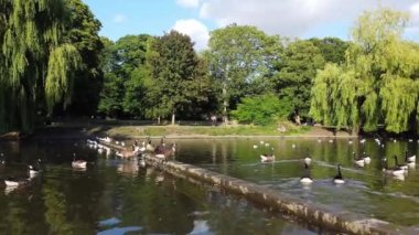Water Birds are Swimming in the Lake Water of Local Public Park of Luton England Great Britain on a hot Day of Summer 2022, Drone's Camera Footage.