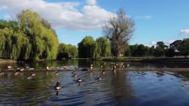 Water Birds are Swimming in the Lake Water of Local Public Park of Luton England Great Britain on a hot Day of Summer 2022, Drone's Camera Footage.